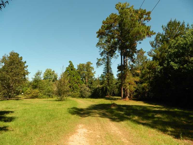 62427 Seal Road Angie, LA 70426 - Photo 5 of 22