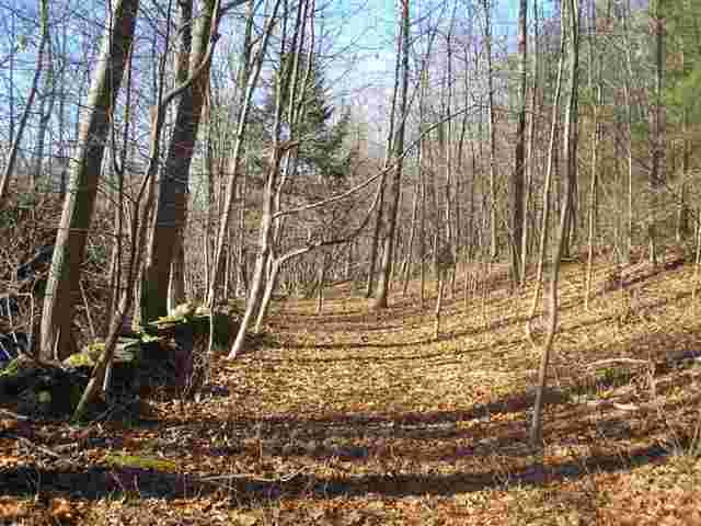 1 Wells Road Pattersonville, NY 12137 - Photo 7 of 11 Photo 7