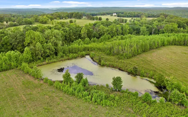 $2,250,000 | 10600 Skyridge Trail, Soddy Daisy, TN 37379