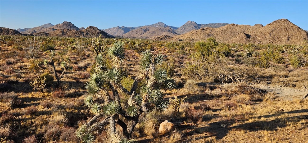 2624 South Gold Mine Road Yucca, AZ 86438 - Photo 5 of 15