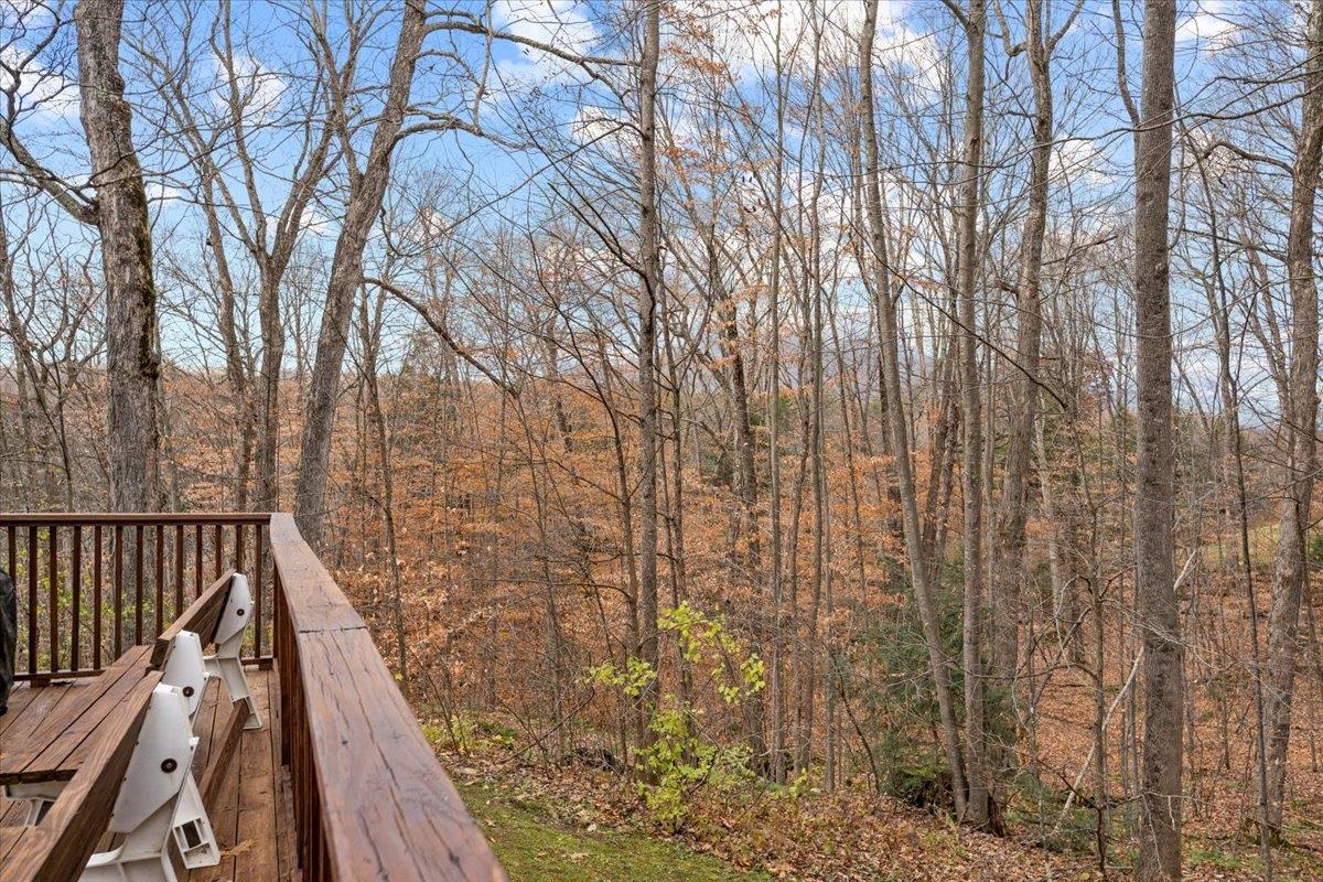 551 Finbars Forest Road Manchester, VT 05255 - Photo 7 of 36 Gallery Image 7