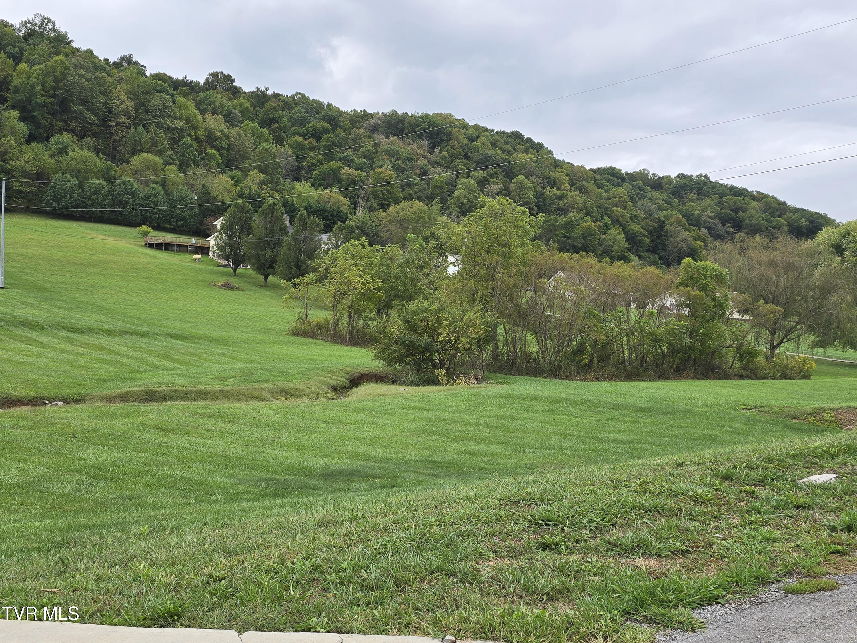 Tbd Dishner Valley Road, Unit 6 Bristol, VA 24202 - Photo 5 of 15 20240929_093834