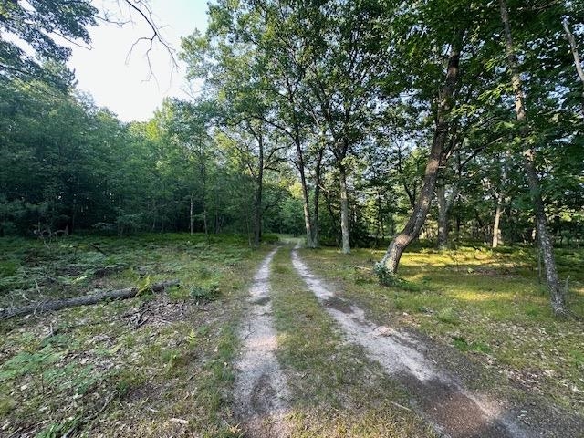 Parcel G South Brown Road Cadillac, MI 49601 - Photo 11 of 15