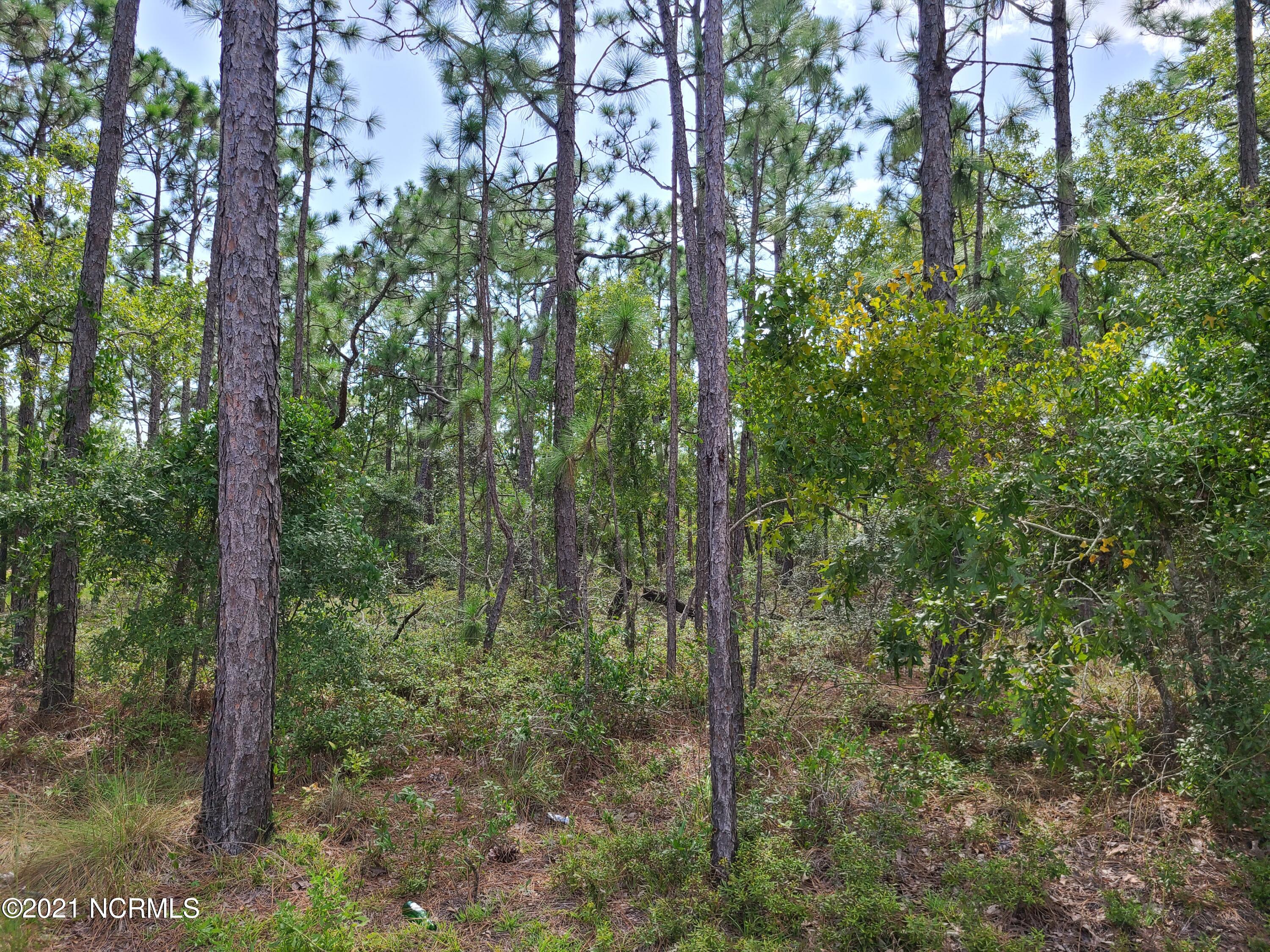 95 Ash Road Boiling Spring Lakes, NC 28461 - Photo 1 of 3 JD 2