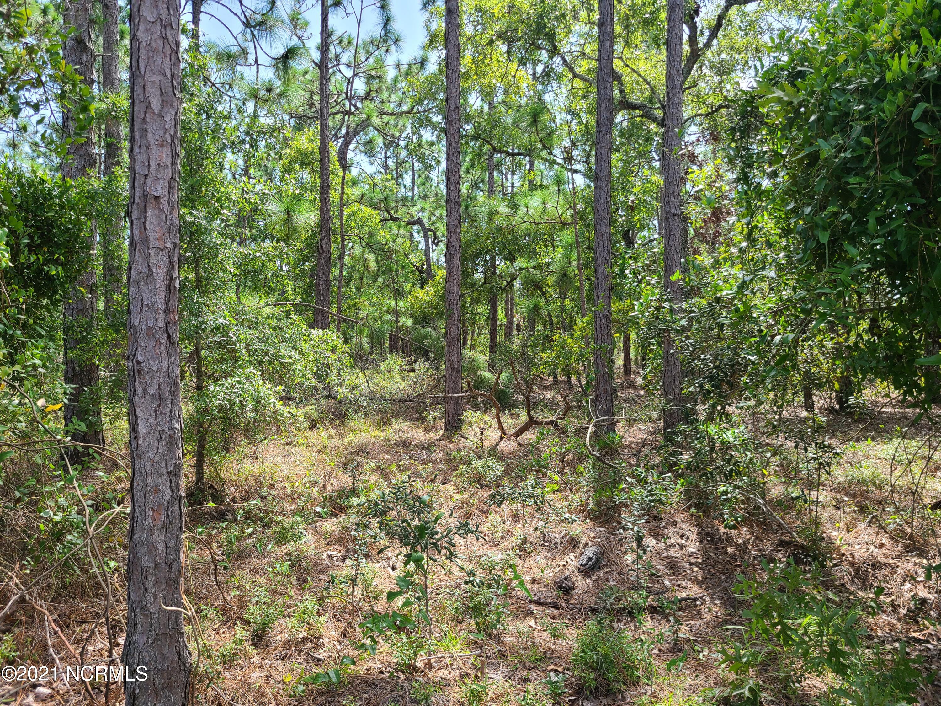 95 Ash Road Boiling Spring Lakes, NC 28461 - Photo 2 of 3 JD 1