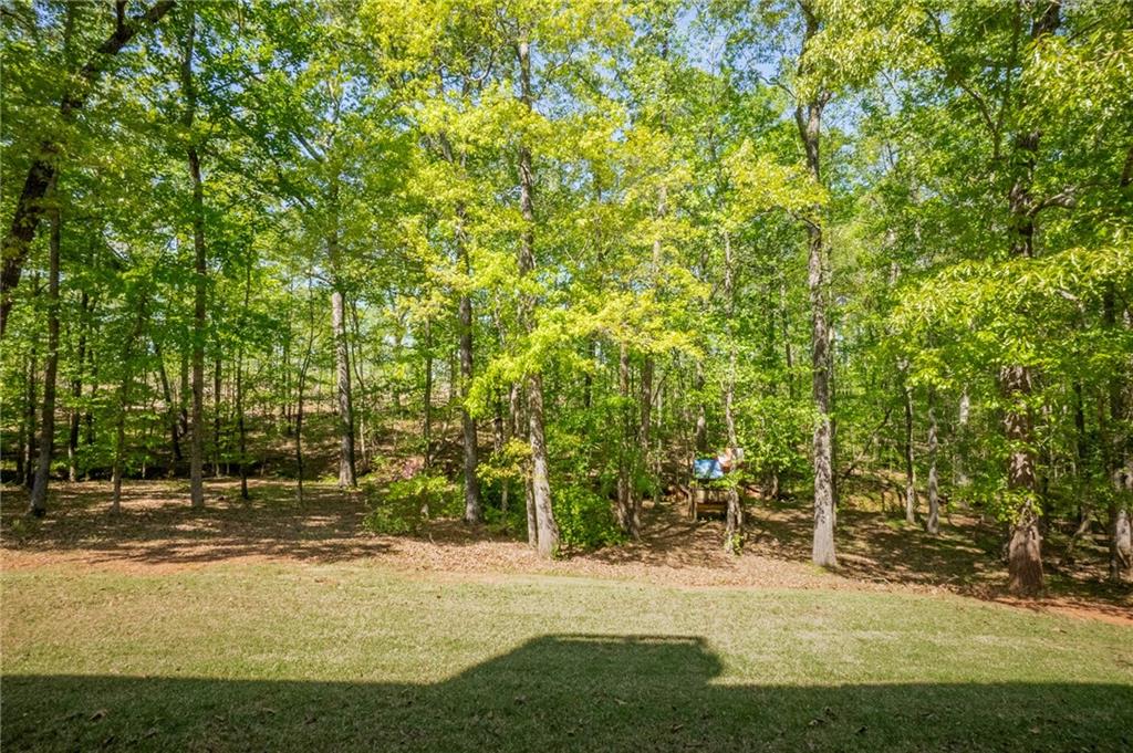 160 Vinny's Way Covington, GA 30014 - Photo 40 of 51 a view of a yard with large trees