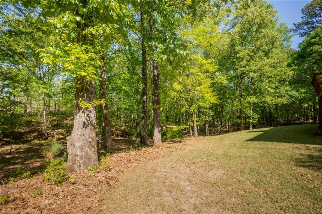 160 Vinny's Way Covington, GA 30014 - Photo 42 of 51