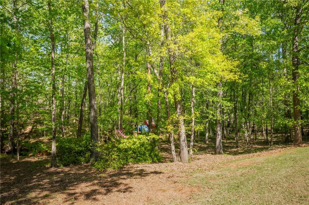 160 Vinny's Way Covington, GA 30014 - Photo 43 of 51 a view of a yard with plants and trees