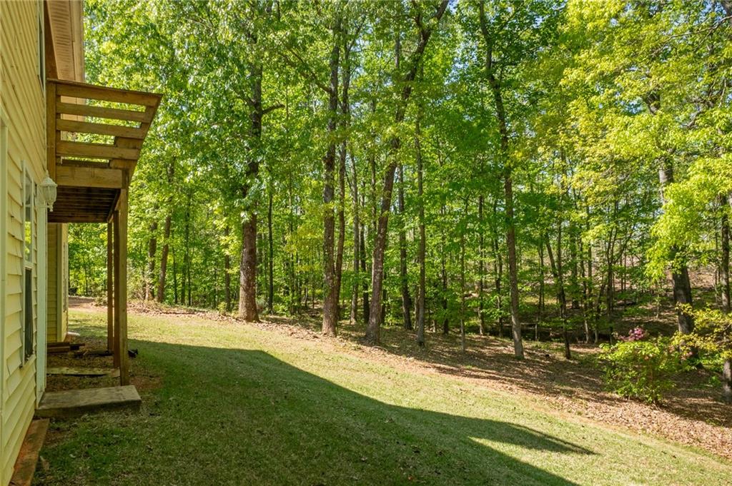 160 Vinny's Way Covington, GA 30014 - Photo 44 of 51 a view of a back yard
