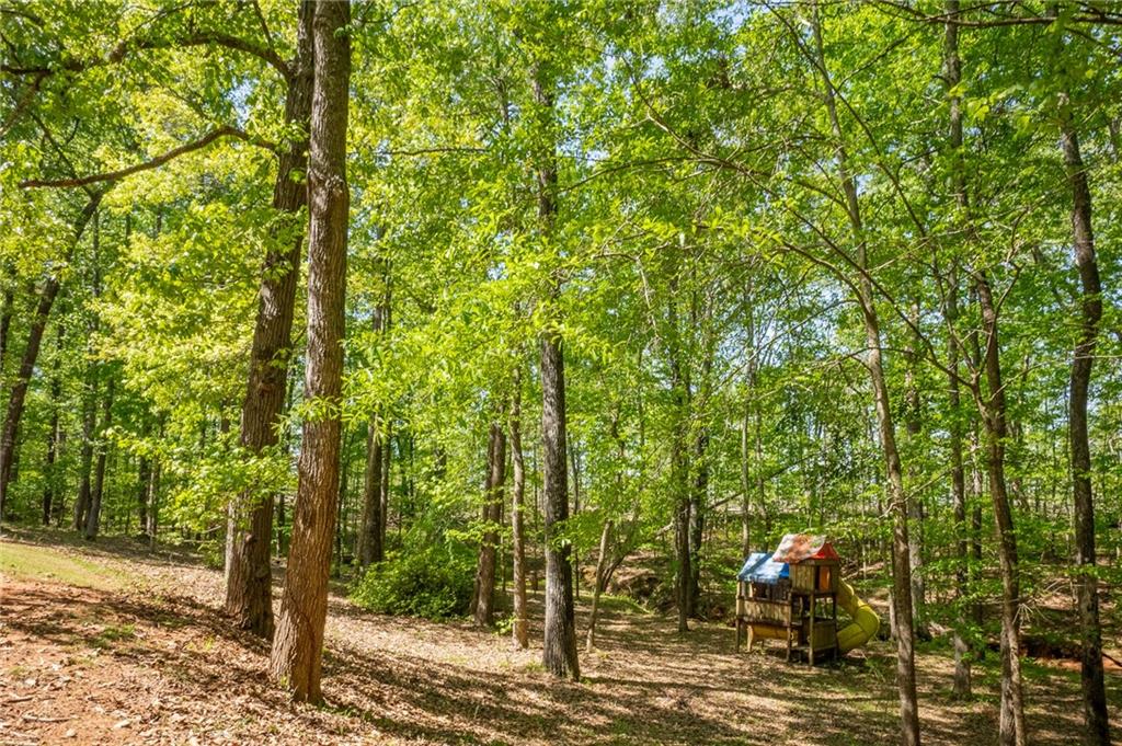 160 Vinny's Way Covington, GA 30014 - Photo 46 of 51 a view of a forest with trees