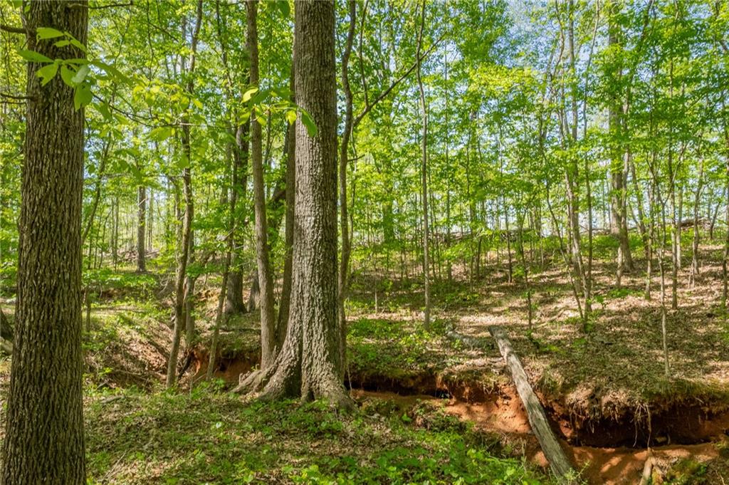 160 Vinny's Way Covington, GA 30014 - Photo 48 of 51 a view of outdoor space and garden