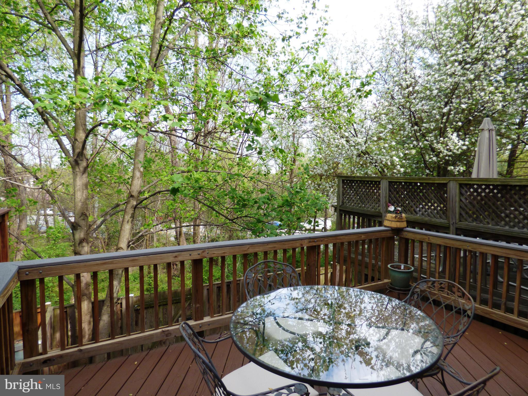 8530 Springfield Oaks Drive Springfield, VA 22153 - Photo 17 of 22 Exterior (Rear)