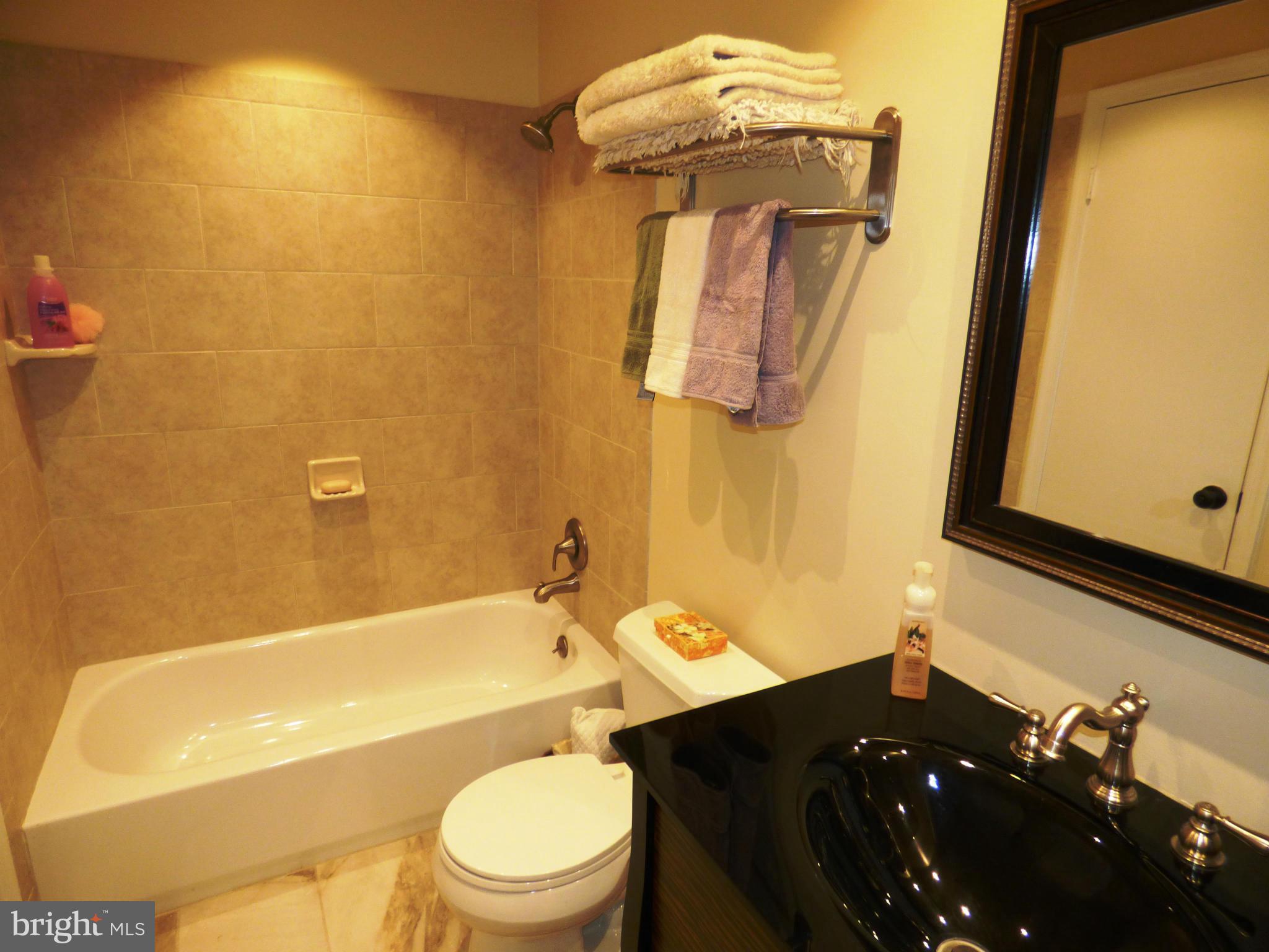 8530 Springfield Oaks Drive Springfield, VA 22153 - Photo 8 of 22 Bath (Master)