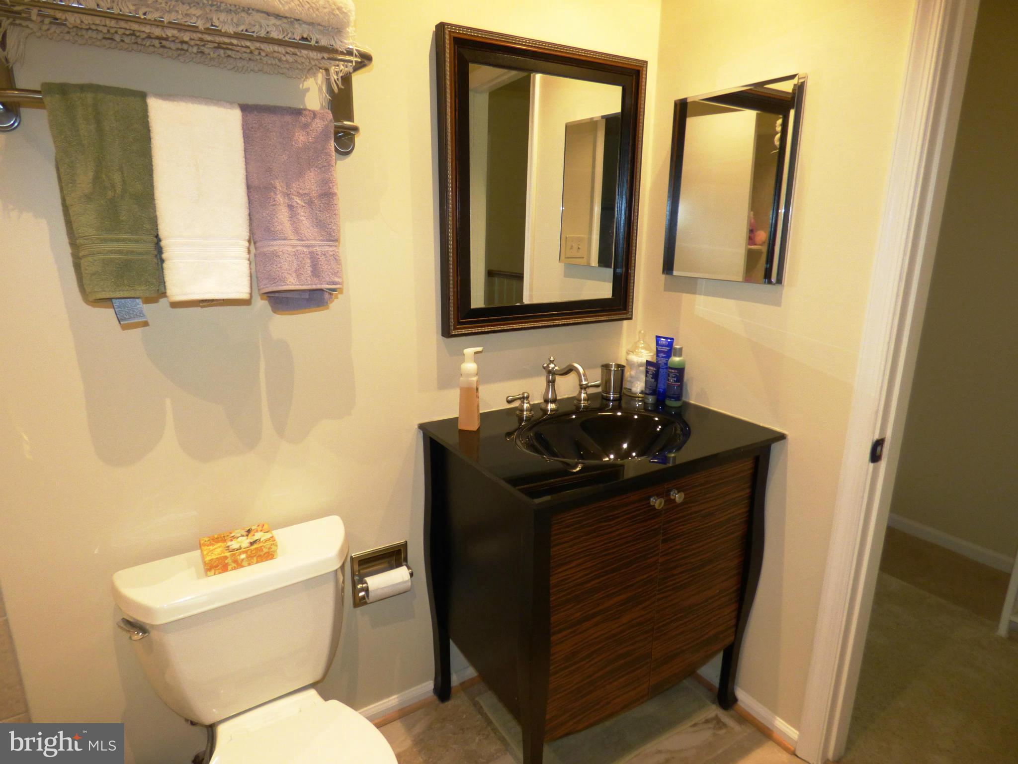 8530 Springfield Oaks Drive Springfield, VA 22153 - Photo 9 of 22 Bath (Master)