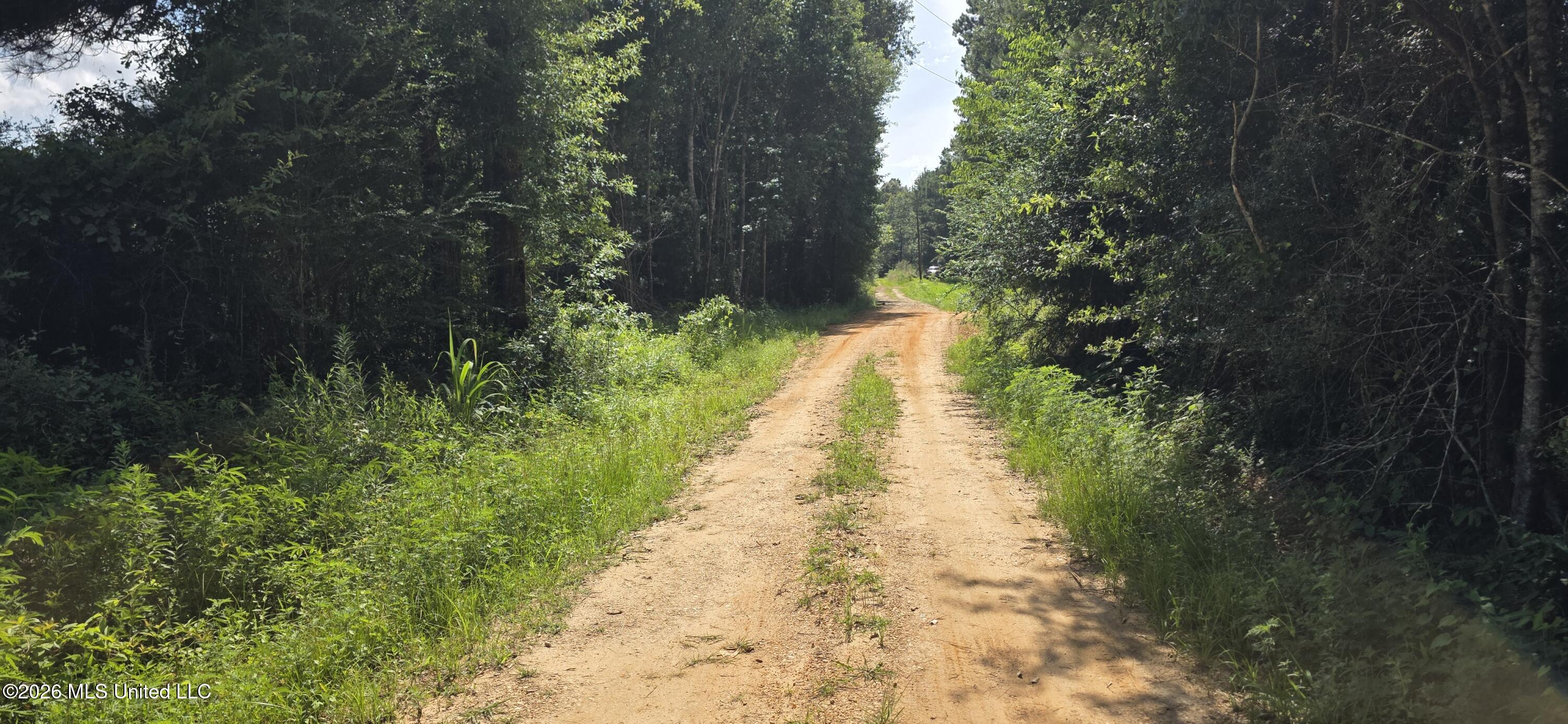 2046 Barto Leggett Road McComb, MS 39648 - Photo 27 of 29 20260623_160847