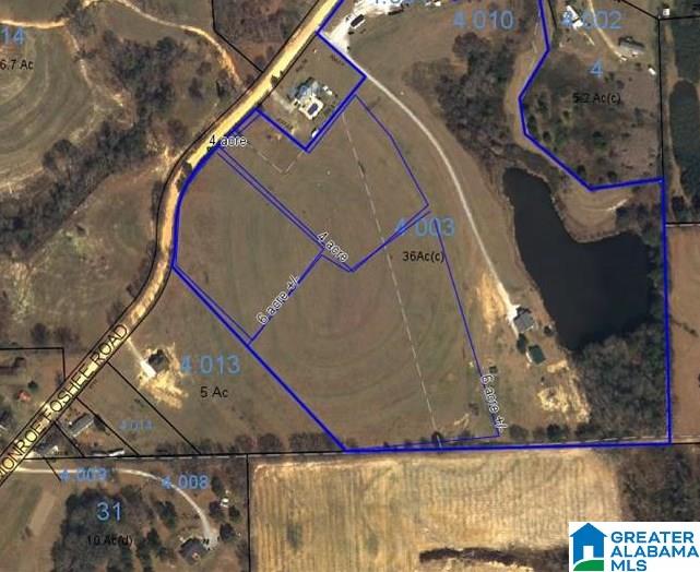 0 County Road 407 Clanton, AL 35045 - Photo 7 of 7