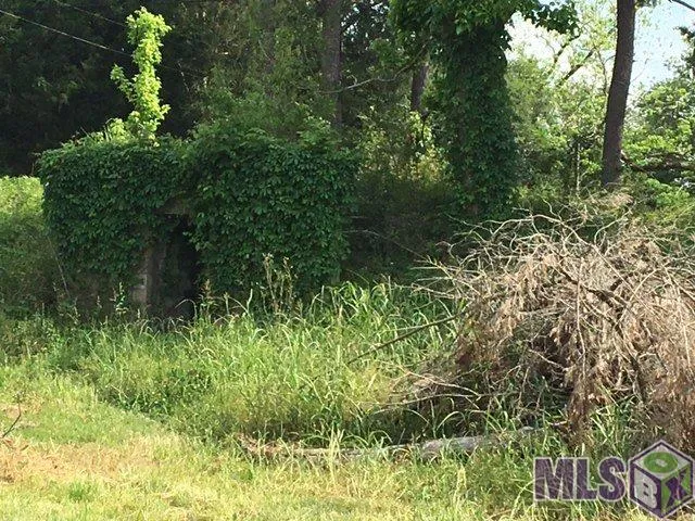 $1,313,200 | 10675 Island Road, Ventress, LA 70783