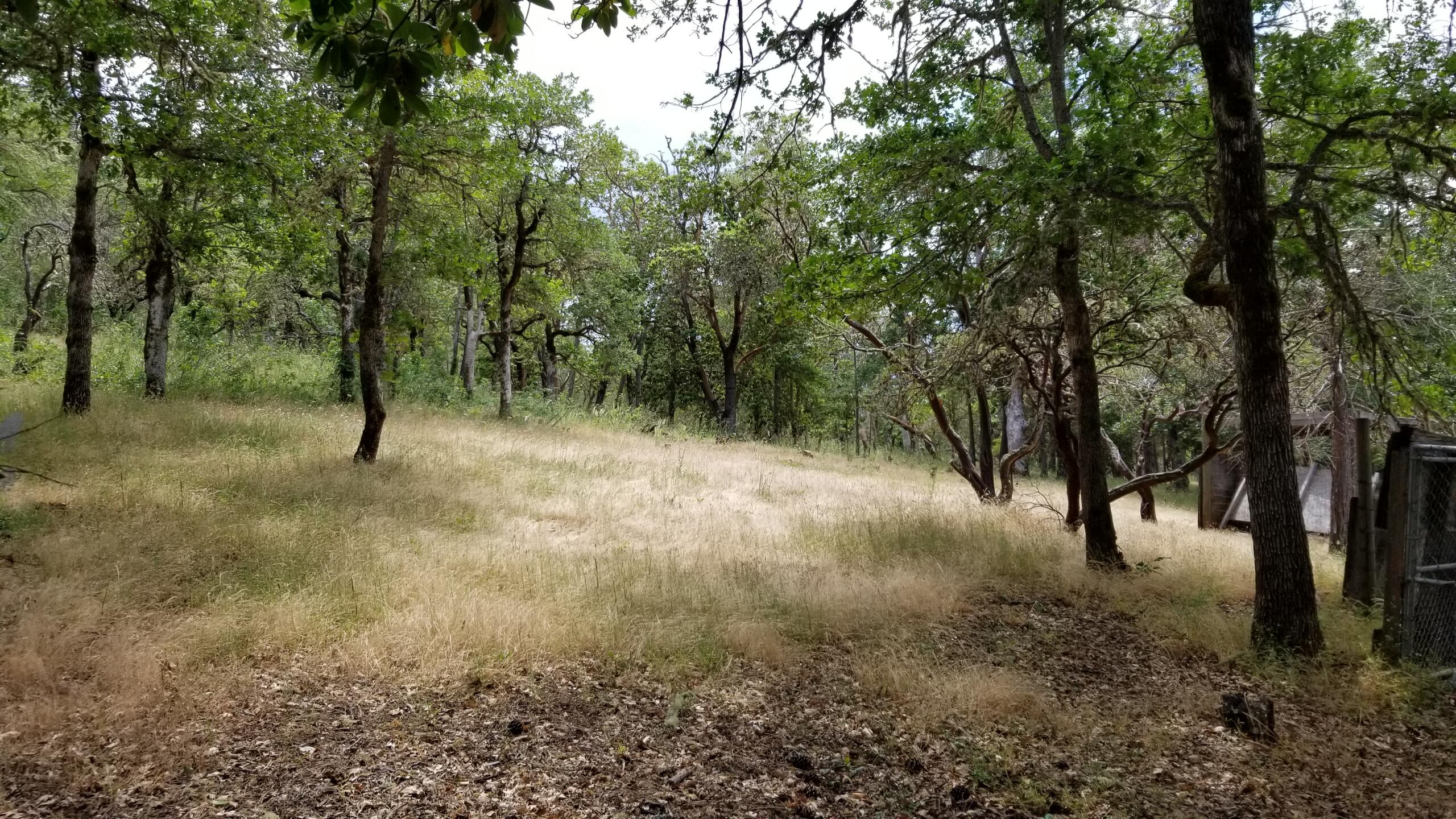 13925 Water Gap Road Williams, OR 97544 - Photo 24 of 26 24 20230608_134123