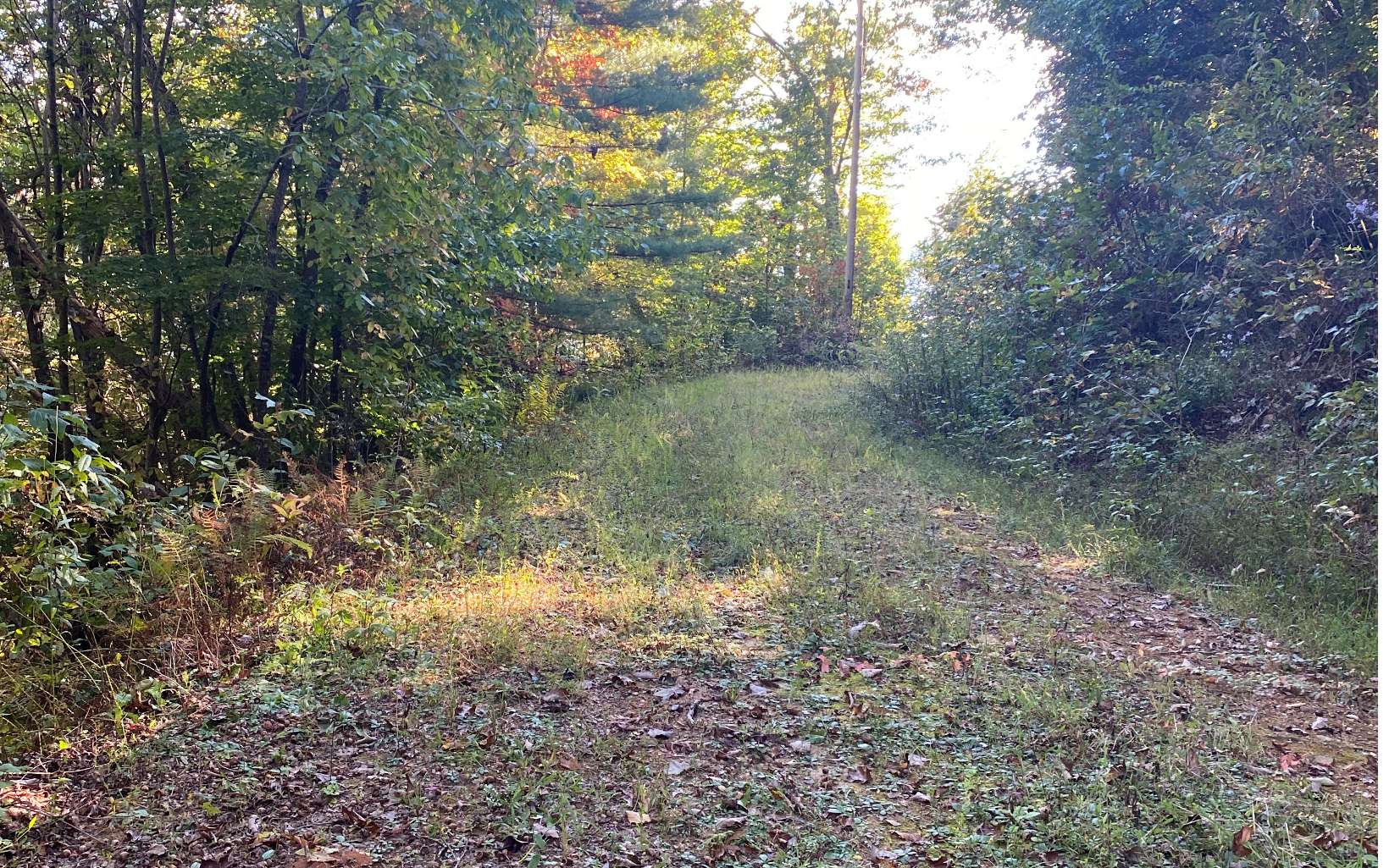 11.60 Shake Rag Road Hiawassee, GA 30546 - Photo 3 of 4 Additional View