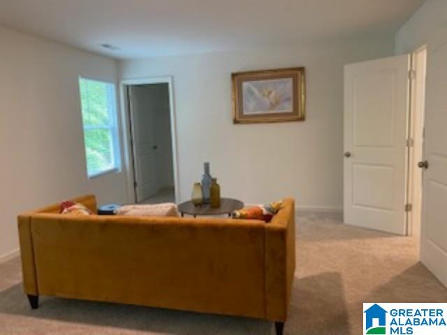 786 Valley Circle Leeds, AL 35094 - Photo 18 of 20
