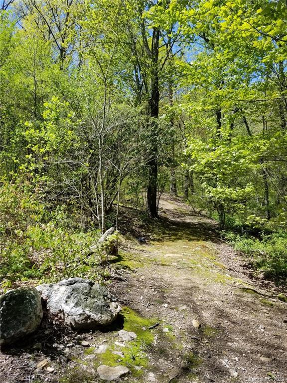 25 Craftsman Overlook Ridge Arden, NC 28704 - Photo 27 of 27 Gallery Image 27