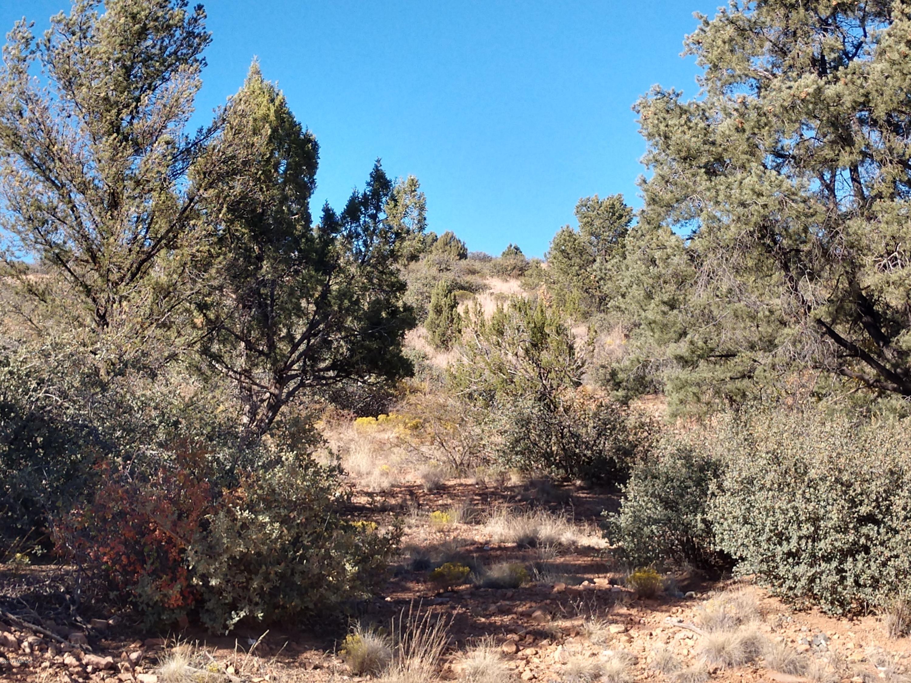 0 West Sarah Road Prescott, AZ 86305 - Photo 1 of 18 Looking at the property from Sarah RD