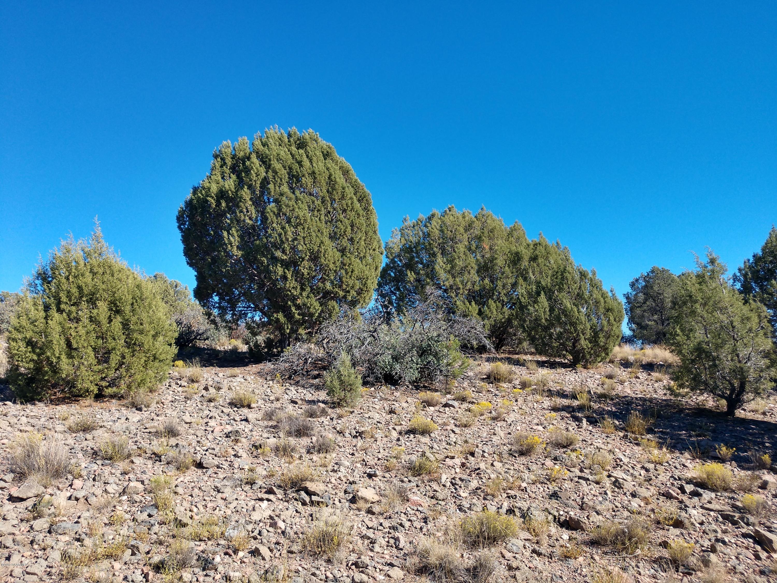 0 West Sarah Road Prescott, AZ 86305 - Photo 8 of 18 Views of Differnt Parts of the Property-