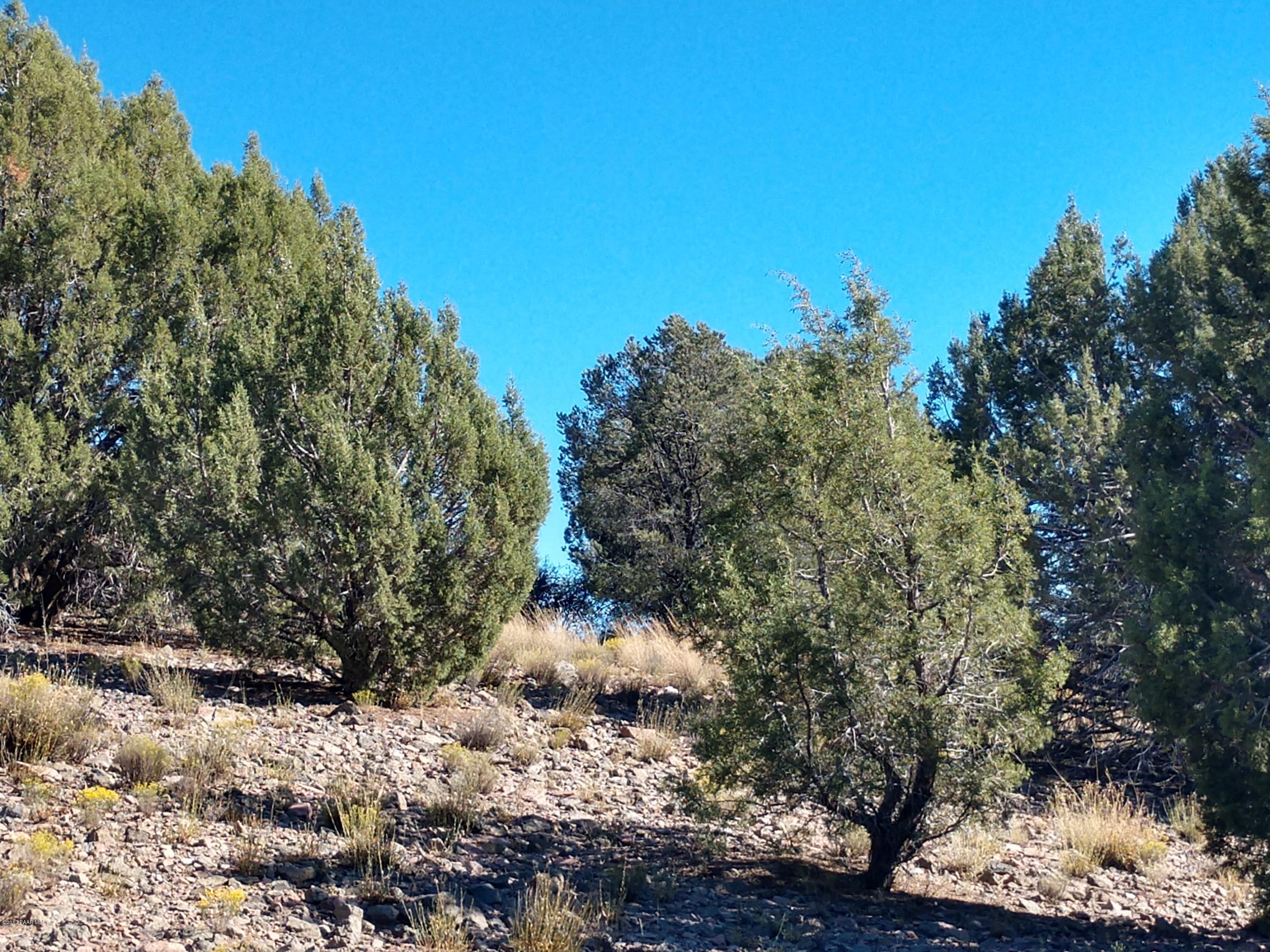0 West Sarah Road Prescott, AZ 86305 - Photo 9 of 18 Views of Differnt Parts of the Property-