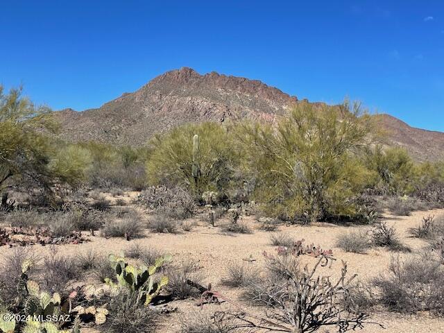 2850 South Kinney Road Tucson, AZ 85735 - Photo 4 of 4 Gallery Image 4