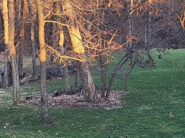 a backyard of a house with lots of green space