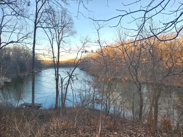 a view of tree next to a yard
