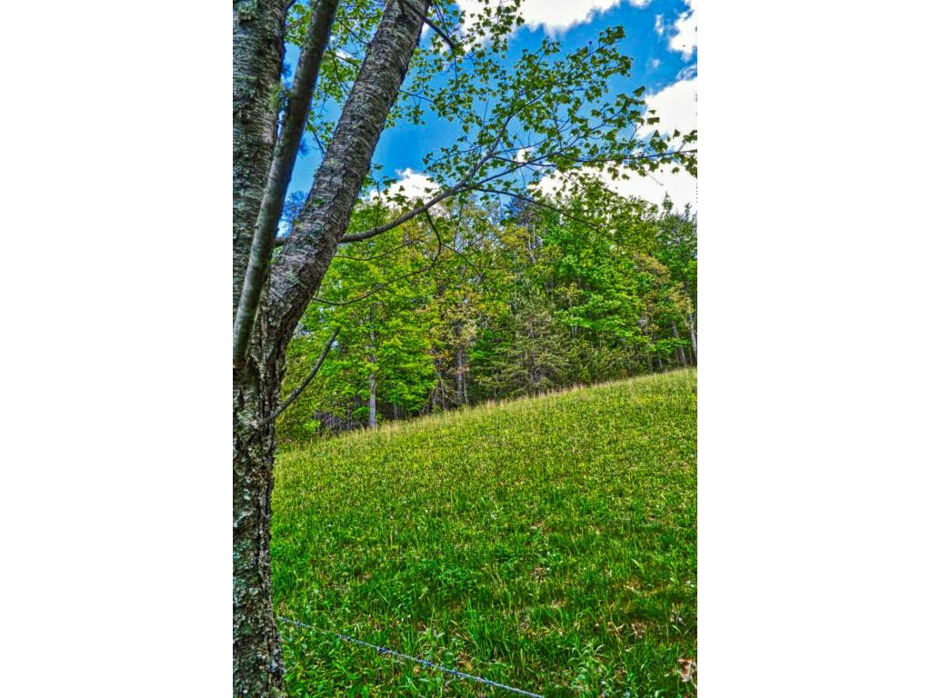 7254 Houston Valley Road Greeneville, TN 37743 - Photo 33 of 34 View to Natl Forest