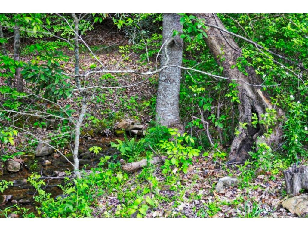 7254 Houston Valley Road Greeneville, TN 37743 - Photo 5 of 34 Creek On Property