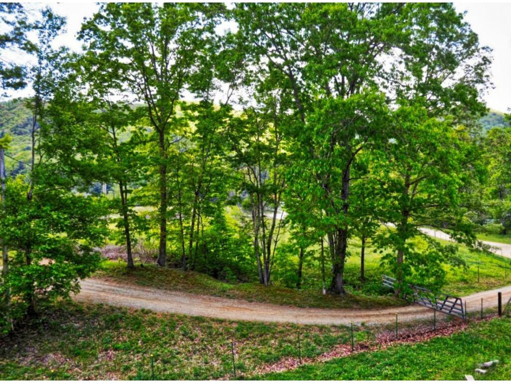 7254 Houston Valley Road Greeneville, TN 37743 - Photo 6 of 34 From Top Deck