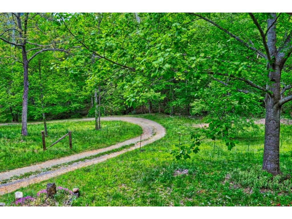 7254 Houston Valley Road Greeneville, TN 37743 - Photo 8 of 34 From Bottom Deck