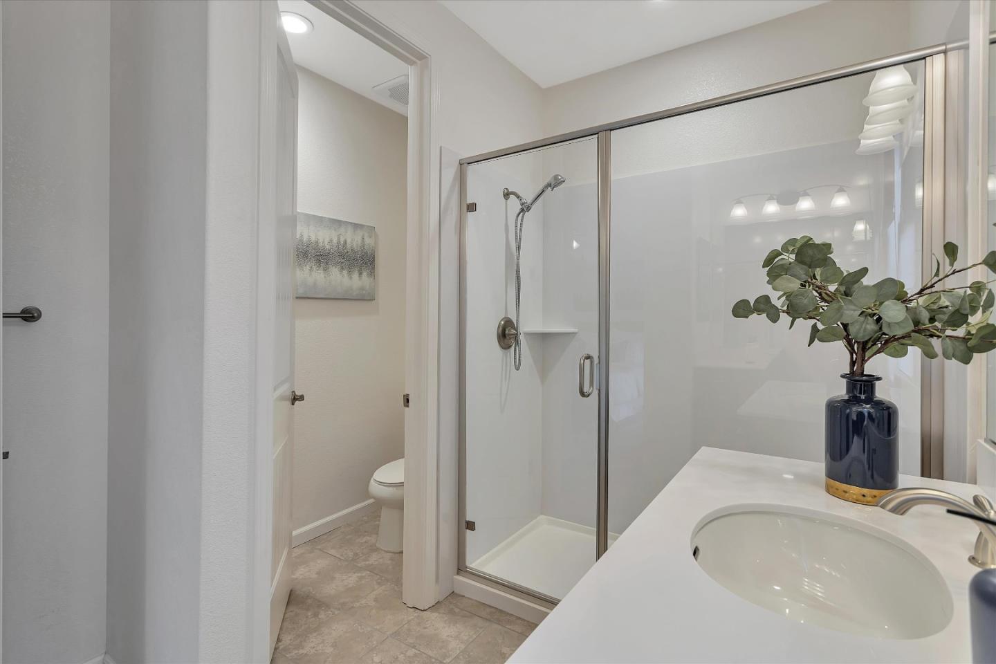 5814 Riley Way Newark, CA 94560 - Photo 30 of 46 a bathroom with a sink a shower and a mirror