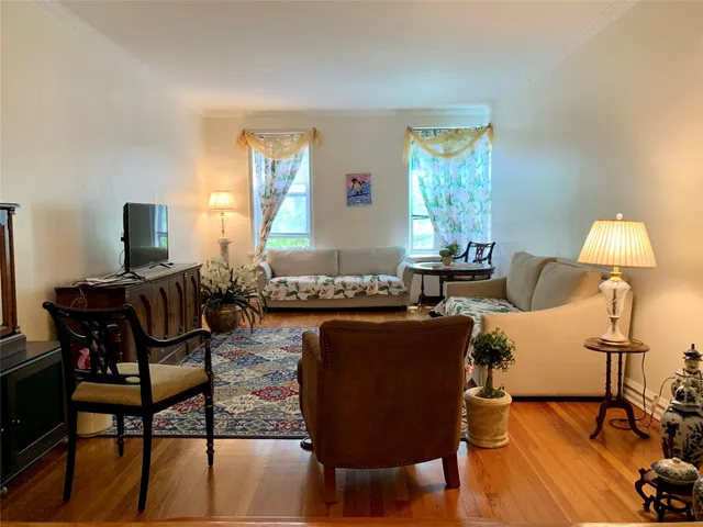 a living room with furniture rug and window