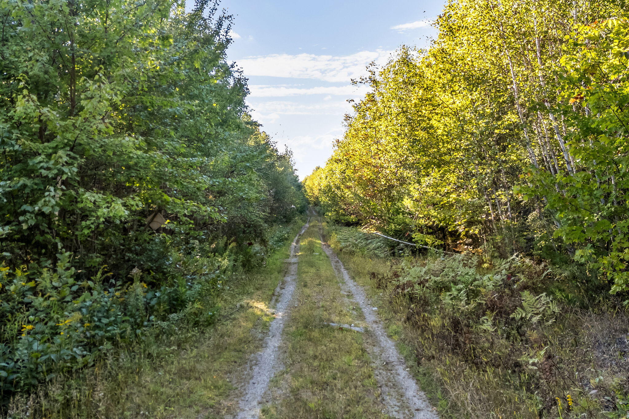 3 Map Road Old Town, ME 04468 - Photo 11 of 26