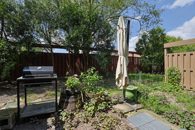 a view of a backyard with potted plants and large tree