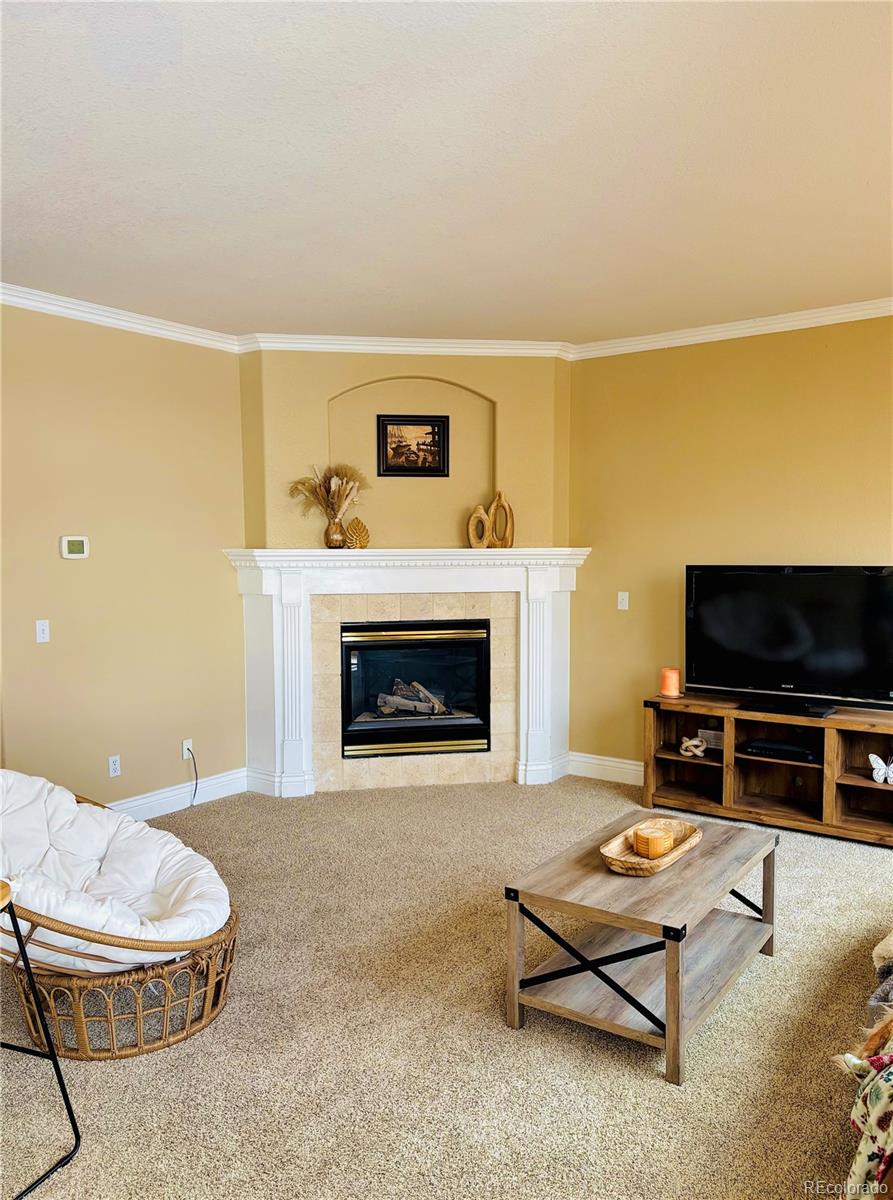 9882 Sylvestor Road Highlands Ranch, CO 80129 - Photo 2 of 3