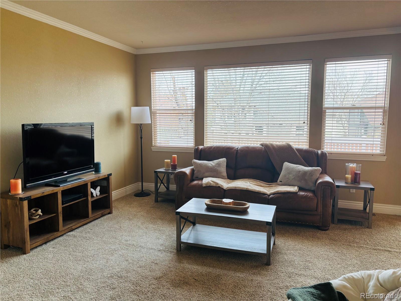 9882 Sylvestor Road Highlands Ranch, CO 80129 - Photo 8 of 45 Gallery Image 8