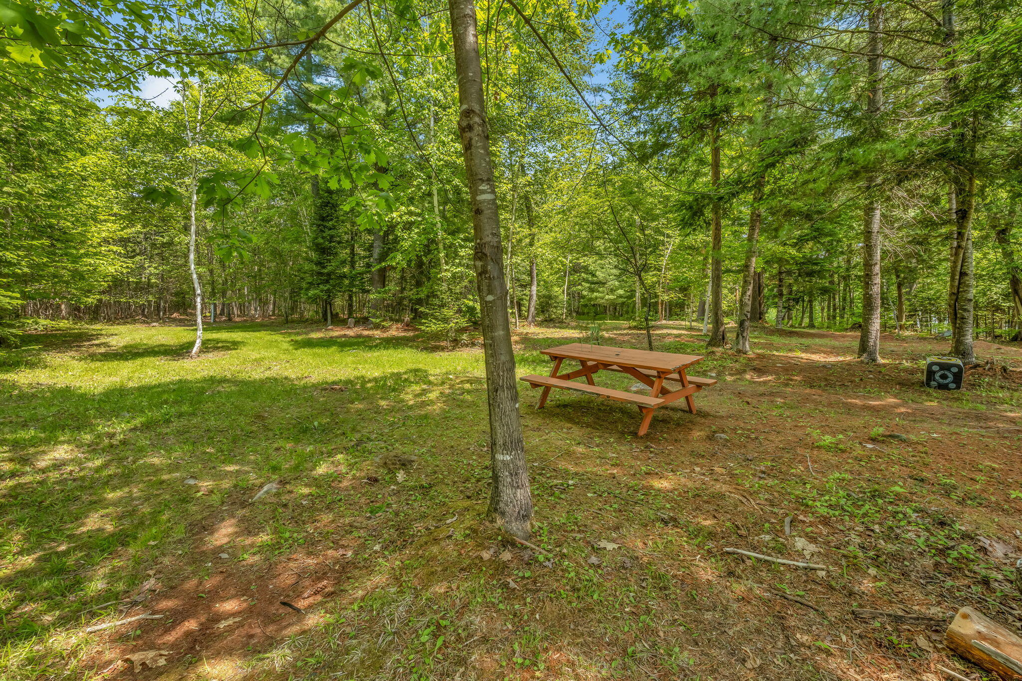 84 McIntosh Avenue Levant, ME 04456 - Photo 6 of 72 41-web-or-mls-84-mcintosh-ave