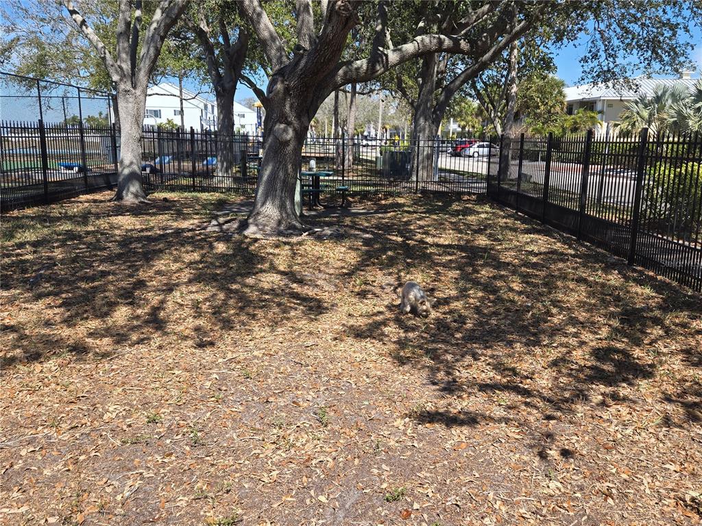 611 Destiny Drive, Unit 101 Ruskin, FL 33570 - Photo 17 of 20 a view of a yard with large trees