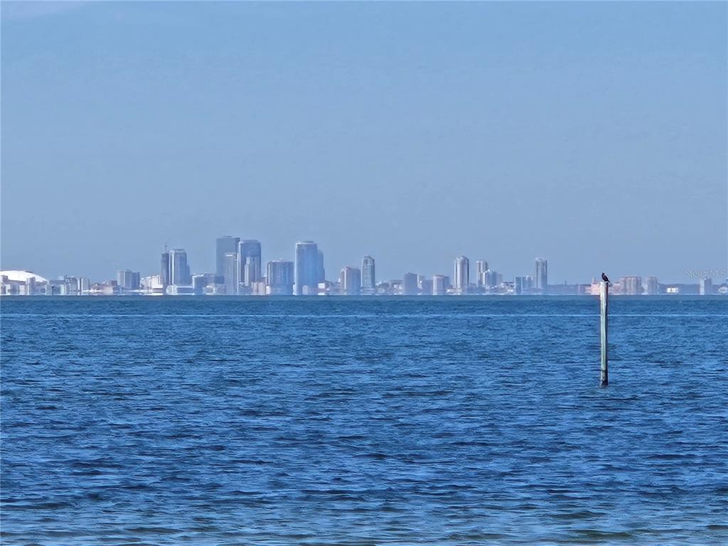 611 Destiny Drive, Unit 101 Ruskin, FL 33570 - Photo 20 of 20 a view of a dry yard