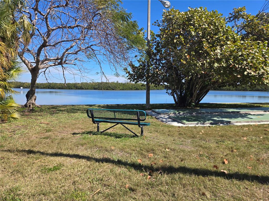 611 Destiny Drive, Unit 101 Ruskin, FL 33570 - Photo 4 of 20 a view of a pool with a yard