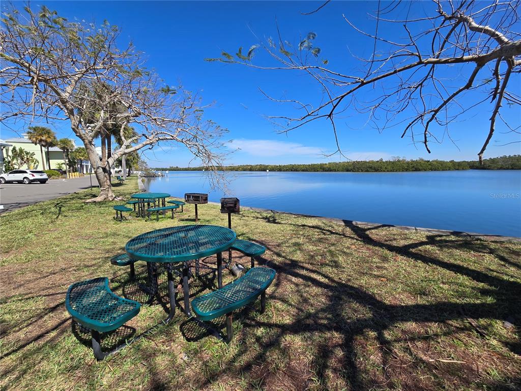 611 Destiny Drive, Unit 101 Ruskin, FL 33570 - Photo 5 of 20 a view of a backyard with plants and lake view