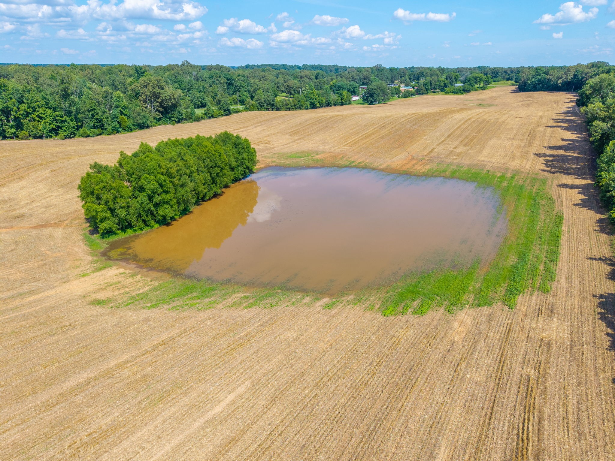 2400 Princeton Road Cadiz, KY 42211 - Photo 15 of 17 Gallery Image 15