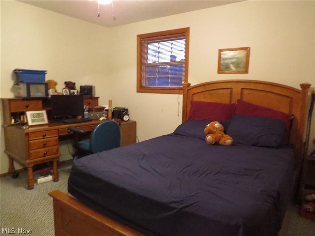 36379 Capel Road Grafton, OH 44044 - Photo 8 of 15 Gallery Image 8