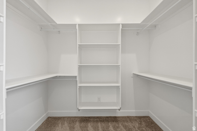 157 West 100 South Joseph, UT 84739 - Photo 14 of 30 Walk in closet with light carpet