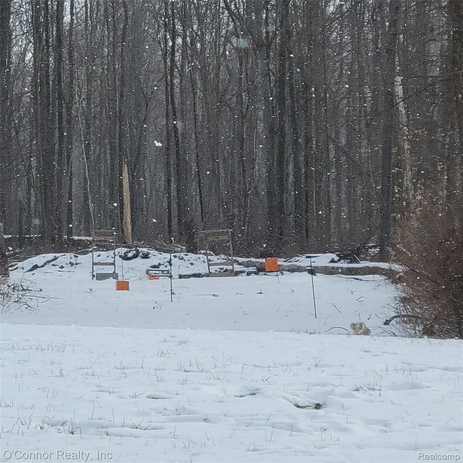 2845 Burr Road Applegate, MI 48401 - Photo 40 of 52 Gun Range